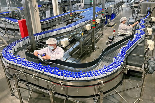 投资超70亿元 伊利助推宁夏奶业高质量发展